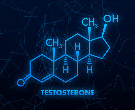 Augmenter testosterone