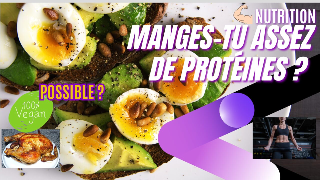 Mangez-vous assez de protéines ? Rôles, quantités, régimes et qualité